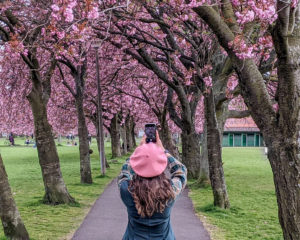 Gemma介于爱丁堡Meadows公园粉红樱花树
